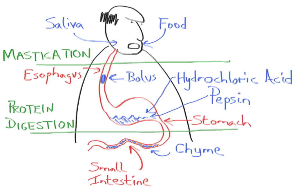 Mnemonic