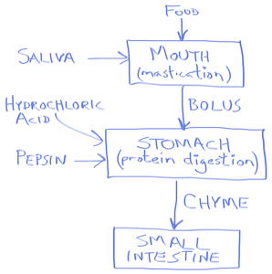 Flowchart